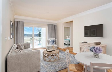 Chauncy Lake unit 205, Westborough, MA 01581 - photo 4