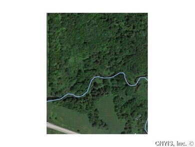 Aerial View Blue line is stream placement