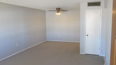 10927 W Thunderbird Blvd, Sun City, AZ 85351 - photo 2