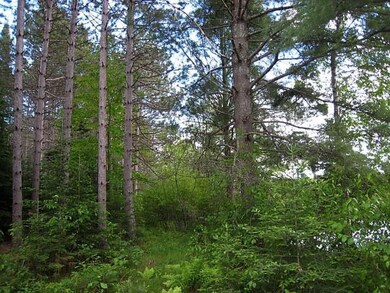 61 acres Hwy 86, Tomahawk, Wi, WI 54487 - photo 6