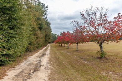 3-web-or-mls-915 BENNOCK MILL RD (c)-1721