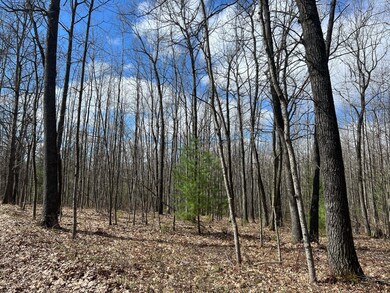 image2 (2)