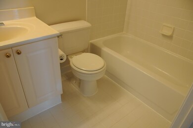 Lillian Court unit 419, McLean, VA 22102 - photo 4