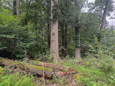 Tbd Laurel Dale Rd, New Creek, WV 26743 - photo 7