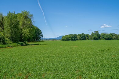 horning-backlightmarketing-18