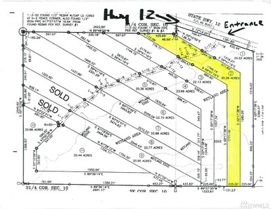 3 Volcano Rd, Napavine, WA 98532 - photo 6