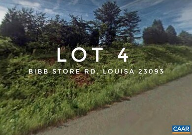 0 Bibb Store Rd unit 638864, Louisa, VA 23093 - photo 3