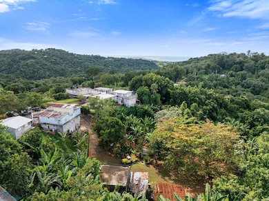 Km 9.2 Carr 352, Mayaguez, PR 00683 - photo 3