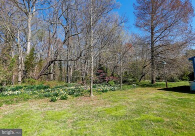 6202 Rock Hall Rd, Rock Hall, MD 21661 - photo 7