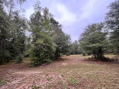00 Jim Stanford Rd, Poplarville, MS 39470 - photo 7