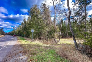 0 Hubbard Lake Rd unit 25571195, Hubbard Lake, MI 49747 - photo 7