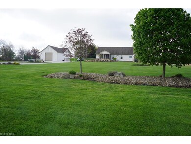 This is a view of their back yard.