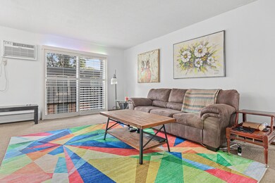 807 11th Ave S unit 6, Hopkins, MN 55343 - photo 4