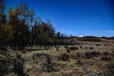 1878 Kiowa St, Como, CO 80432 - photo 4