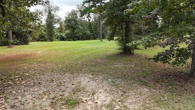 0 Ed Tolar Rd, Pansey, AL 36370 - photo 2