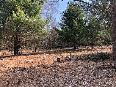 0 Beebe Rd L:4, Monson, MA 01057 - photo 4