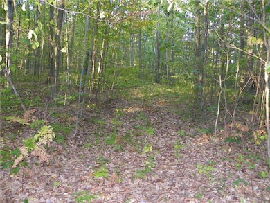 0 Hickory Hill Rd unit R1641484, Bath, NY 14810 - photo 7