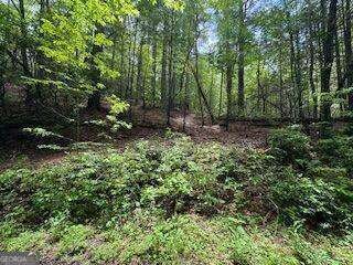 0 Ts Jarrard Rd Unit Tract 3 #192 unit 10655414, Dahlonega, GA 30533 - photo 4