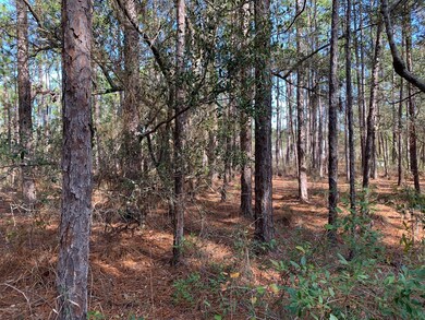 284 N High Point Rd