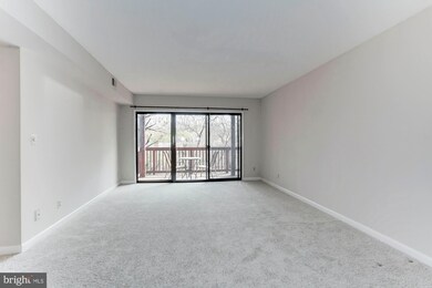 203 Skyhill Rd unit 4, Alexandria, VA 22314 - photo 2