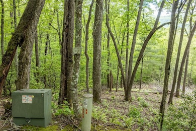 lot 13 Shepherds Gap Rd, Cullowhee, NC 28723 - photo 5