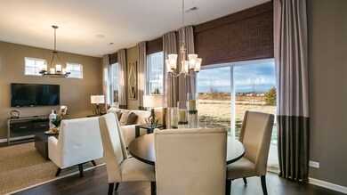 1691 Southern Cir, Pingree Grove, IL 60140 - photo 5