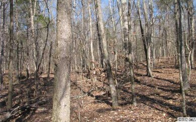 Land - Upland Oak Forest Comprises Majority of For