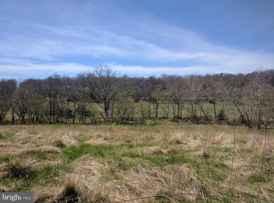 6321 Stonewall Jackson Hwy, Front Royal, VA 22630 - photo 4