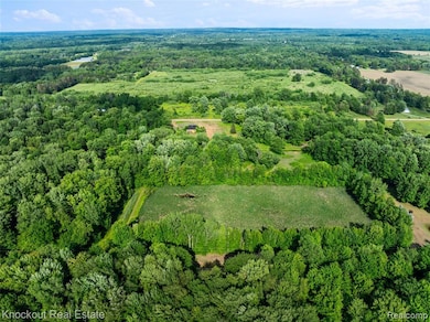 #0091 V L Nature's Trail Rd, Vassar, MI 48768 - photo 3