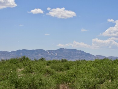 Peloncillo Mtns to the SE