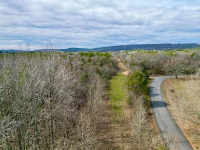 000 S Shelton Rd, Bee Branch, AR 72013 - photo 3