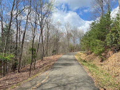 Lot 62 Jitterbug Ln, Murphy, NC 28906 - photo 3