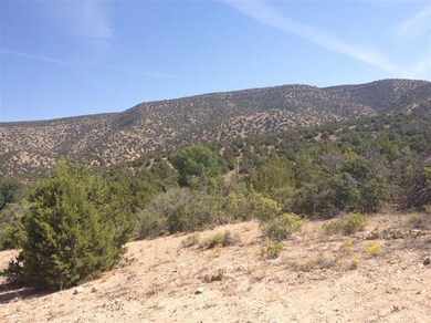 12 Camino Don Juan, Placitas, NM 87043 - photo 2