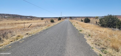 tbd E 2nd St unit 15, Concho, AZ 85924 - photo 2