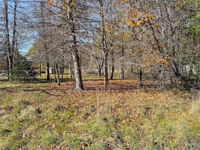 0 Olcott Rd N, Big Flats, NY 14814 - photo 3