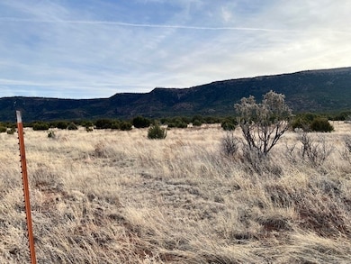 12 Metzger Dr, San Jose, NM 87565 - photo 6