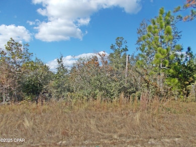 00 County Road 167, Fountain, FL 32438 - photo 4