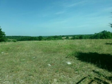 Field 1