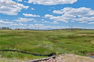 10438 Alamar Way, Black Forest, CO 80908 - photo 2