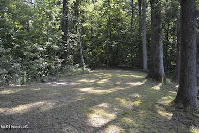 Cleared Area View