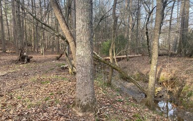 Additional View