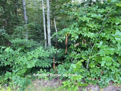 00 Great Falls Rd, Gorham, ME 04038 - photo 6