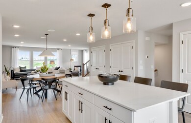 unlisted-address, Woodridge, IL 60517 - photo 4