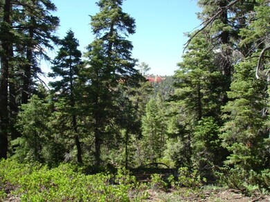 Lot 29 Zion View Mountain Estates unit A, Duck Creek, UT 84762 - photo 7