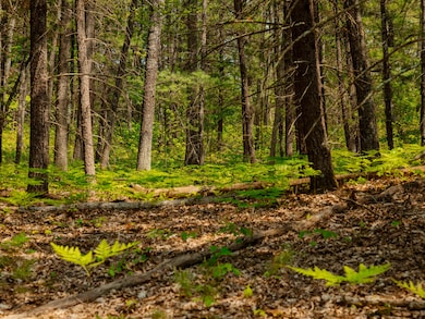 Parcel 2 E Koenig Rd, Free Soil, MI 49411 - photo 5