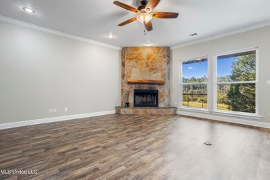 Wood Burning fireplace