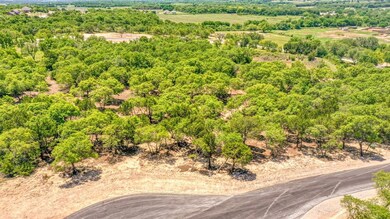 2004 Oak Cliff Ct, Weatherford, TX 76088 - photo 4