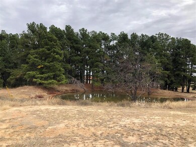 205 Farmhouse Rd, Springtown, TX 76082 - photo 7