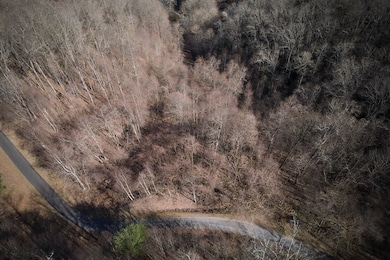 Lot 6A Freeman Overlook, Almond, NC 28702 - photo 2