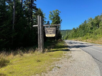 22 von Hippel Ln, Albany, NH 03818 - photo 6